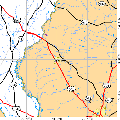 Zip code 29544 close-up map