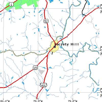 Zip code 29593 close-up map