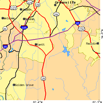 Zip code 29605 close-up map