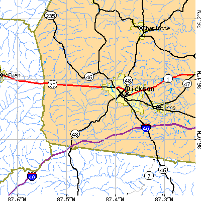 Zip code 37055 close-up map