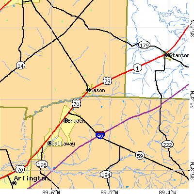 Zip code 38049 close-up map