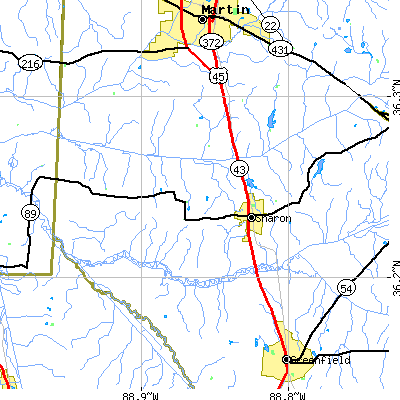 Zip code 38255 close-up map