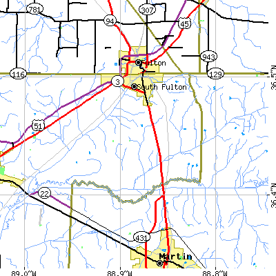 Zip code 38257 close-up map