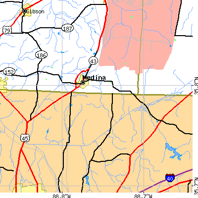 Zip code 38355 close-up map