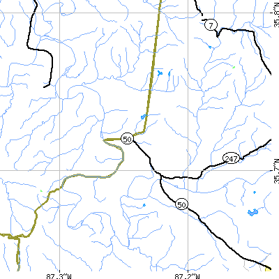 Zip code 38487 close-up map