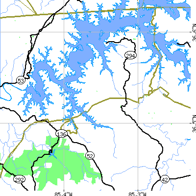 Zip code 38541 close-up map
