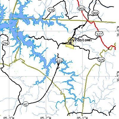 Zip code 38549 close-up map