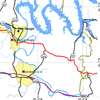 Zip code 38560 close-up map