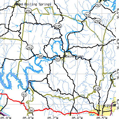 Zip code 38562 close-up map