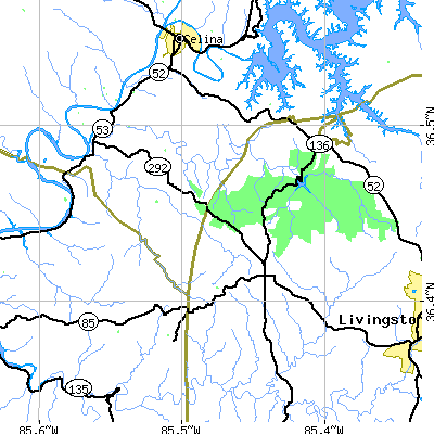Zip code 38568 close-up map