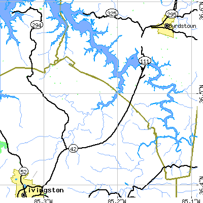 Zip code 38573 close-up map