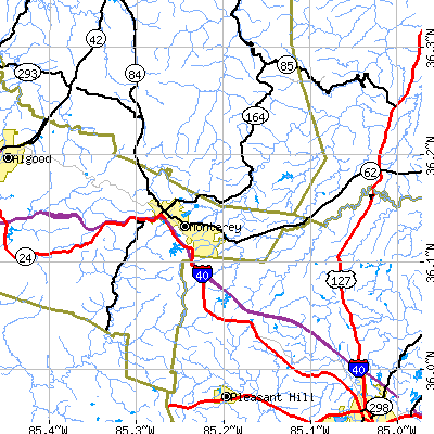 Zip code 38574 close-up map