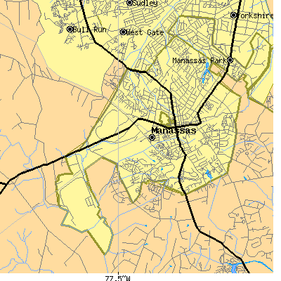 Zip code 20110 close-up map