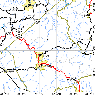 Zip code 24614 close-up map