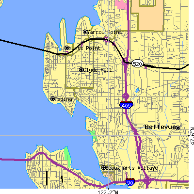 Zip code 98004 close-up map