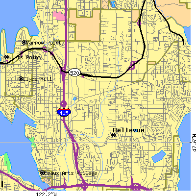 Zip code 98005 close-up map