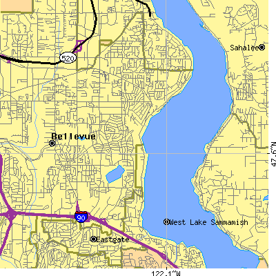 Zip code 98008 close-up map