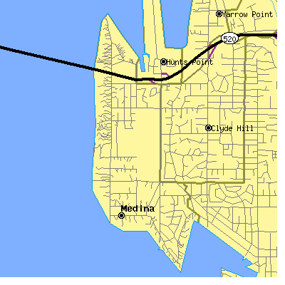 Zip code 98039 close-up map