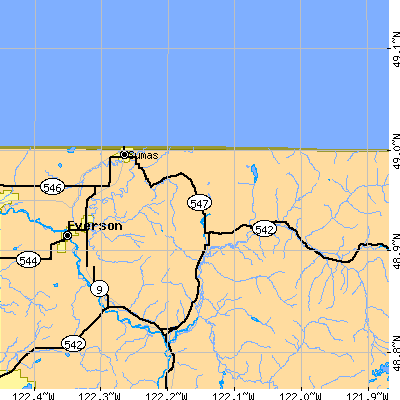 Zip code 98295 close-up map