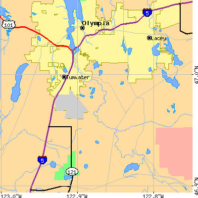 Zip code 98501 close-up map