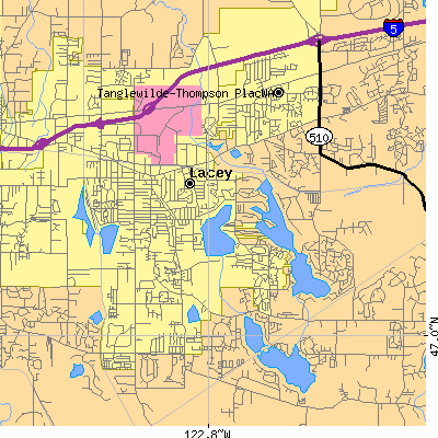 Zip code 98503 close-up map