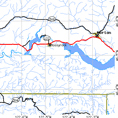 Zip code 98564 close-up map
