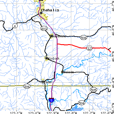 Zip code 98596 close-up map