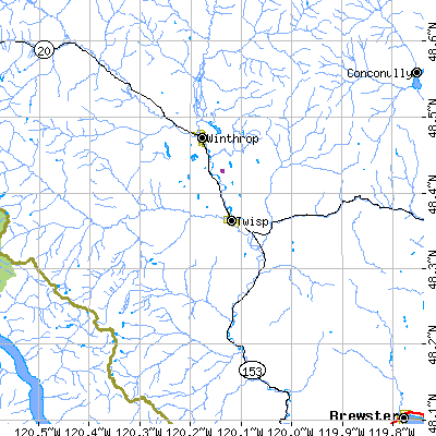 Zip code 98856 close-up map