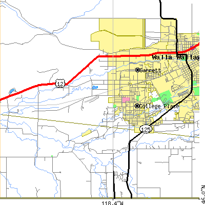 Zip code 99324 close-up map