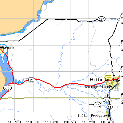 Zip code 99360 close-up map