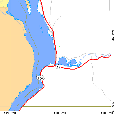 Zip code 99363 close-up map