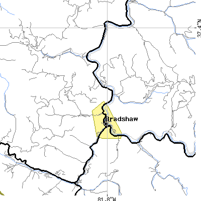 Zip code 24817 close-up map
