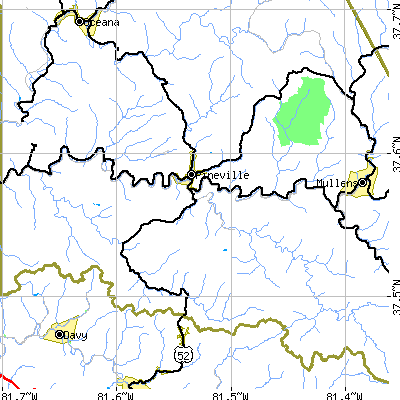 Zip code 24874 close-up map