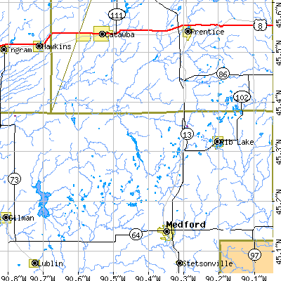 Zip code 54490 close-up map