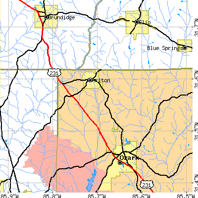 Zip code 36311 close-up map