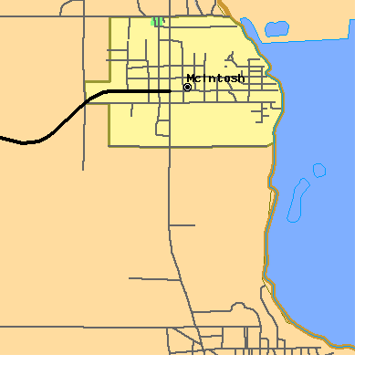 Zip code 32664 close-up map
