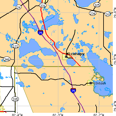 Zip code 32667 close-up map
