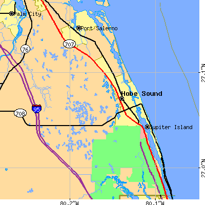 Zip code 33455 close-up map
