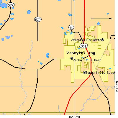 Zip code 33541 close-up map