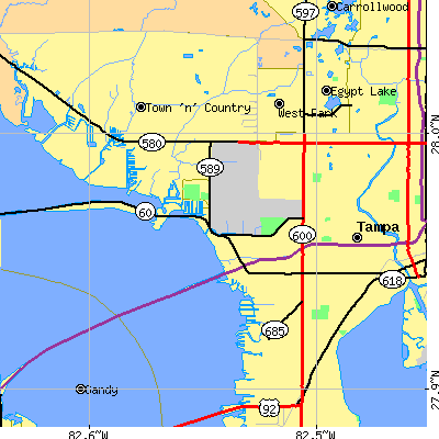 Zip code 33607 close-up map
