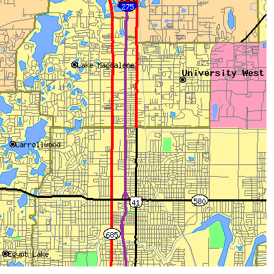 Zip code 33612 close-up map