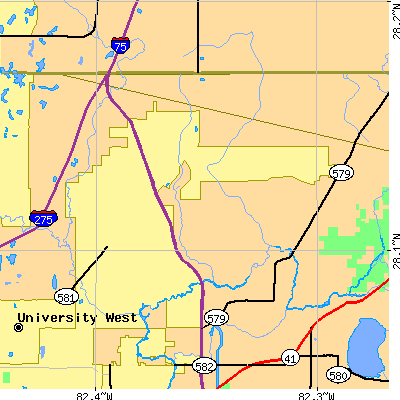Zip code 33647 close-up map
