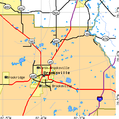 Zip code 34601 close-up map