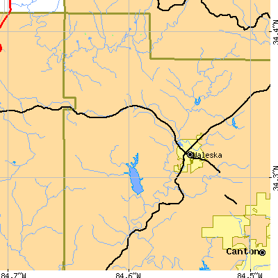 Zip code 30183 close-up map