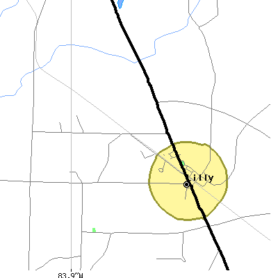 Zip code 31051 close-up map