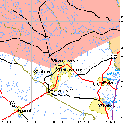Zip code 31313 close-up map