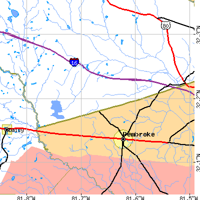Zip code 31321 close-up map
