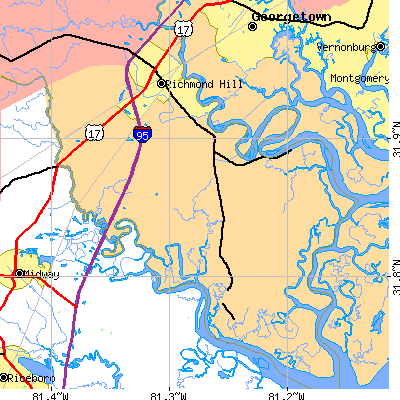 Zip code 31324 close-up map