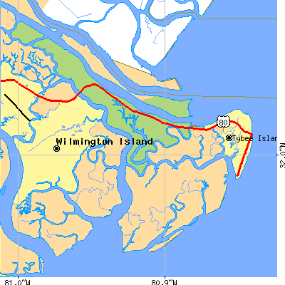 Zip code 31328 close-up map