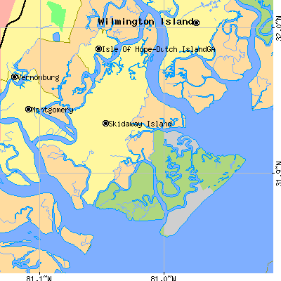 Zip code 31411 close-up map